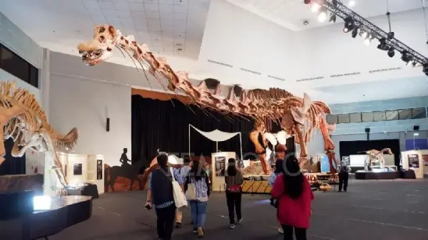 The Thrill of Touching Real Dinosaur Fossils at Singapore Science Centre!